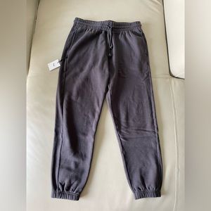 Aritzia TNA sweatpants